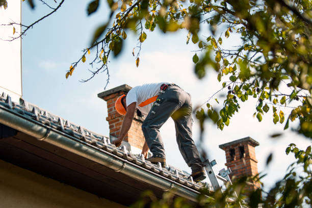 Best Roof Gutter Cleaning  in Dortches, NC