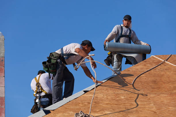 Best Roof Gutter Cleaning  in Dortches, NC